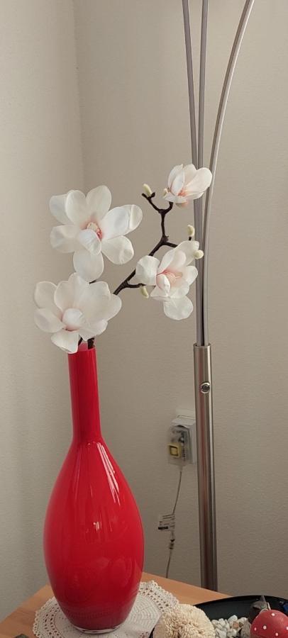 Ferienwohnung Odenwaldblick Momlingen Luaran gambar